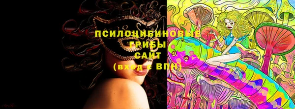 мдпв Аша