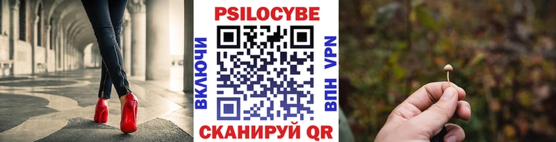 закладки  Енисейск  Псилоцибиновые грибы мухоморы 